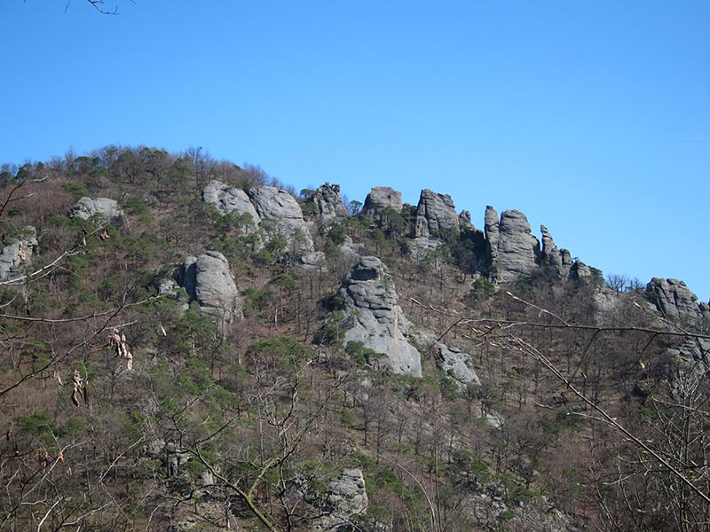 Wachau